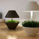 Illustration for article titled LightPot is a Simple and Elegant way to Grow Plants in Your Lamp
